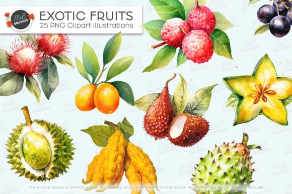 Download 25 Exotic Fruits Watercolour Clipart - Fruit Collection