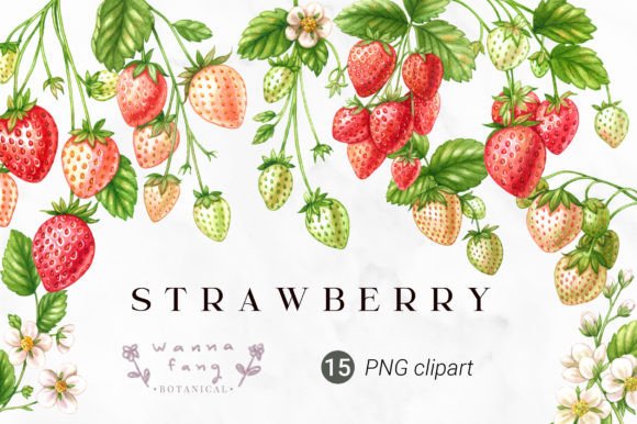 Download Strawberry Fruit Watercolor Clipart, PNG - Premium Resources